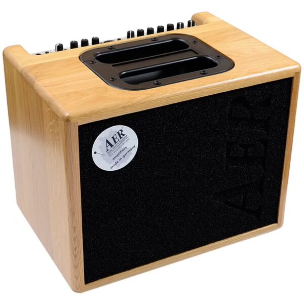 AER Compact 60/4 ONT acoustic guitar amplifier combo, 60 watts