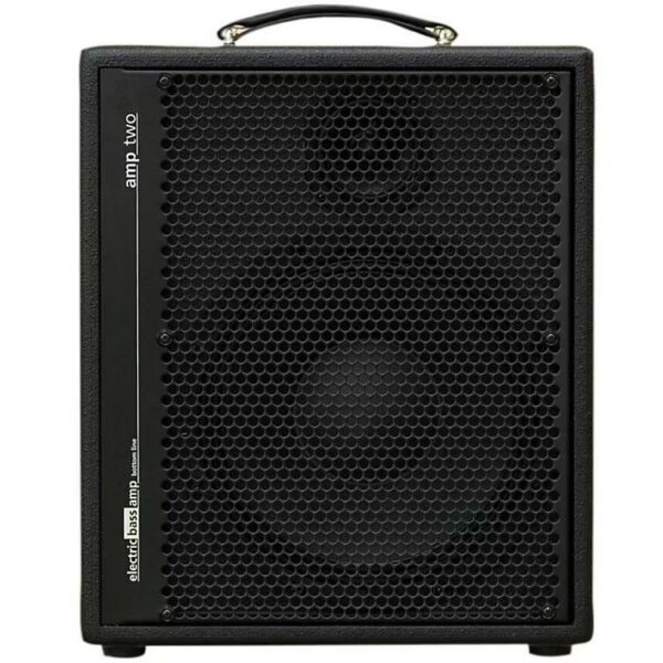 AER Amp Two bass guitar amplifier combo, 240 watts