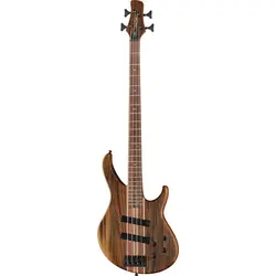 Bass Guitars