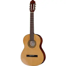 Acoustic guitar