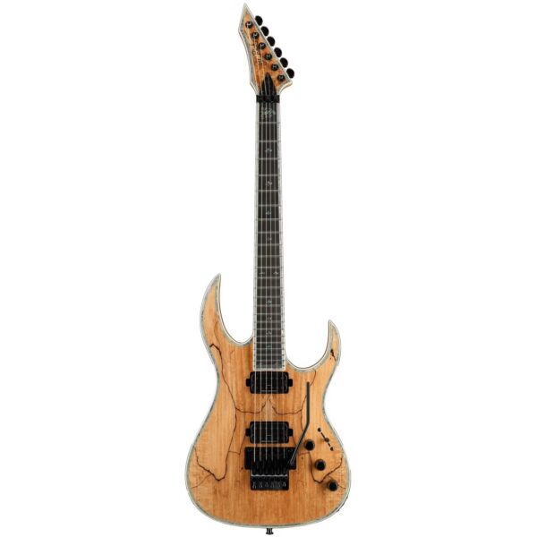 B.C. Rich Shredzilla Prophecy Exotic Archtop Spalted Maple with Floyd Rose Tremolo and DiMarzio Humbuuckers