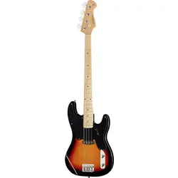 Electric Bass Guitars