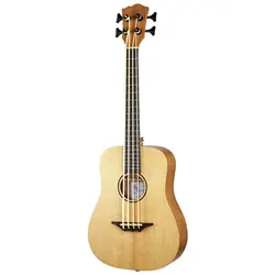 Acoustic Bass Guitars