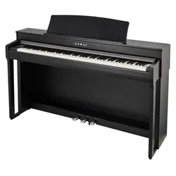 Digital Piano