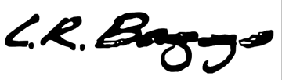 LR Baggs